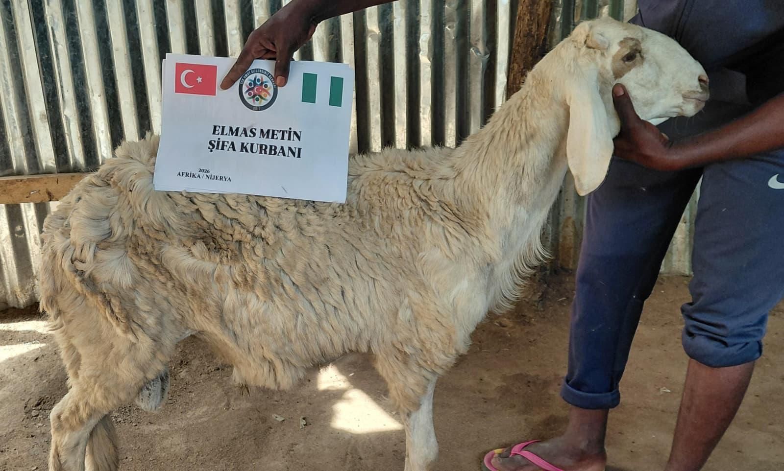 Adak, Akika & Şükür Kurbanları — görsel 3